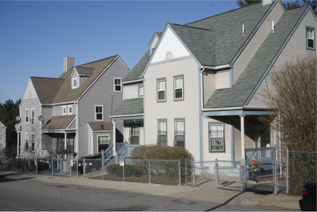 Alexander Magnolia Cooperative
